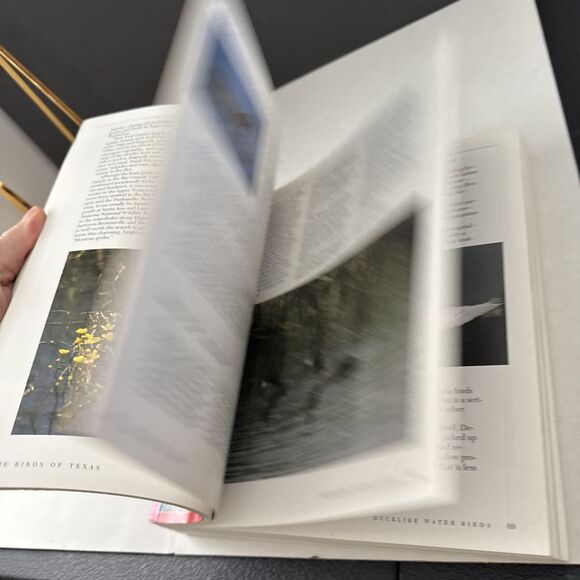 The Birds of Texas By John L Tveten - Picture 4 of 6